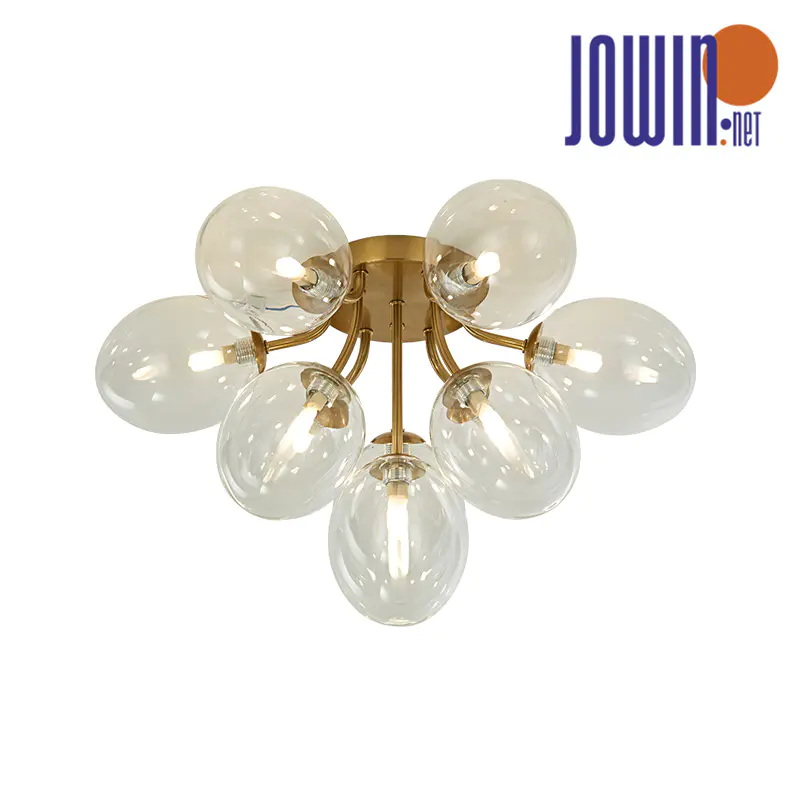 Graceful Dome Ceiling Light